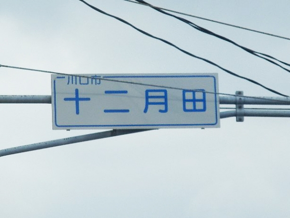 十二月田の信号