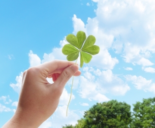 「マインドフルネス」で心を強く、やわらかくする 「マインドフルネス」で心を強く、やわらかくする