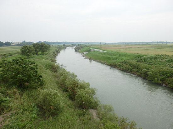 kawahaba