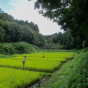 里山公園の谷戸田