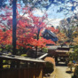 飯能の能仁寺と中山氏