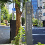 佐野政言の屋敷跡